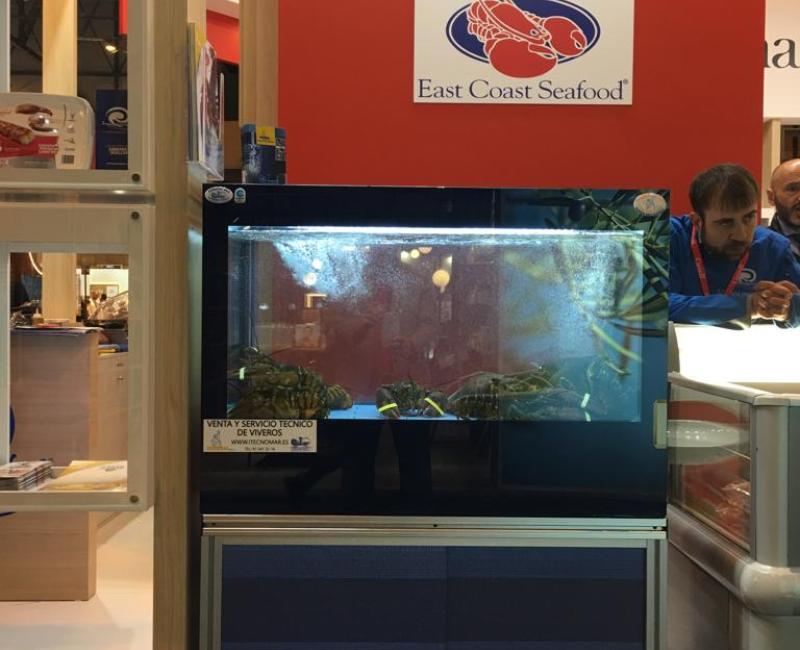 Vivero_Brandina_0 - Acuarios y Viveros de marisco Tecnomar